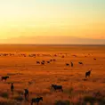 A panoramic view of a vast, golden savannah at dawn, with herds of wildlife grazing and a distant, snow-capped mountain range on the horizon.