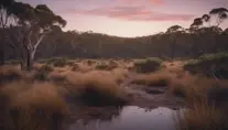 A stunning photo of a natural Australian bush landscape at dusk, 4k, 8k, Highly Detailed