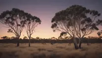 A stunning photo of a natural Australian bush landscape at dusk, 4k, 8k, Highly Detailed