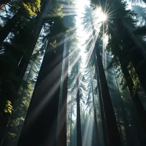 A towering, ancient redwood forest, where the massive trees form a cathedral-like canopy, and shafts of sunlight pierce through the dense foliage.